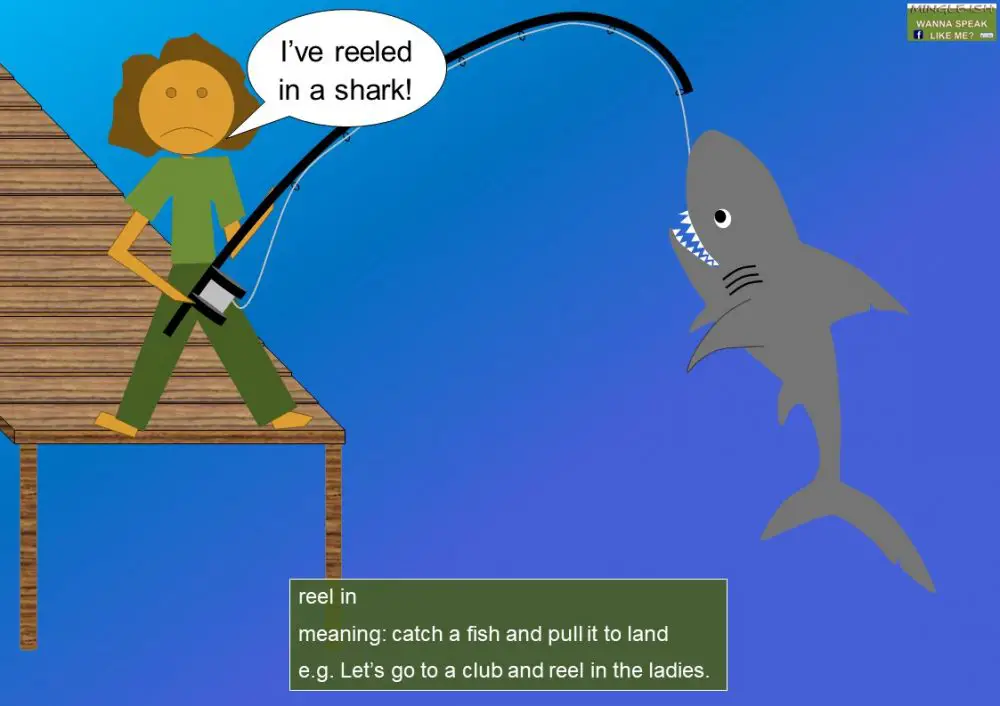 Fishing idioms and expressions Mingleish