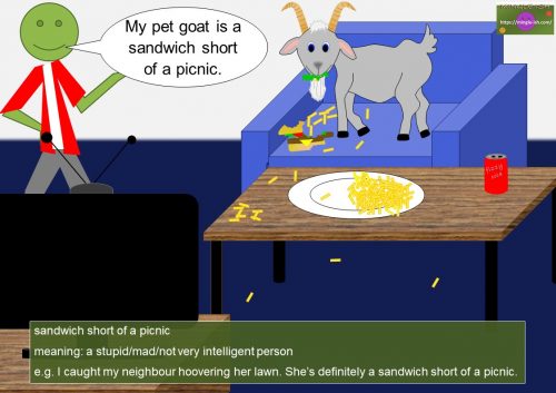 adjective idioms (short) - sandwich short of a picnic