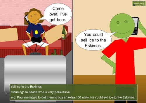 freeze idioms - sell ice to the Eskimos