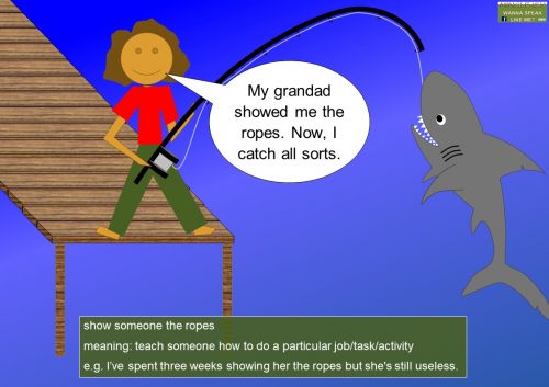 classroom idioms - show someone the ropes