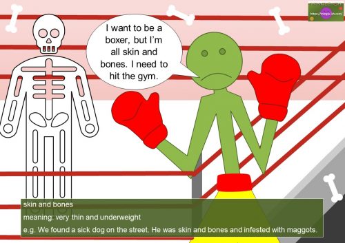 body idioms with bones list - skin and bones meaning