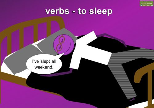 verb examples - sleep