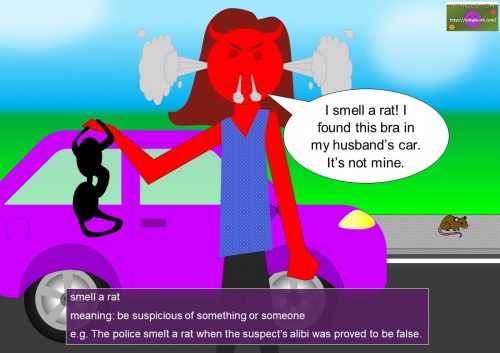 rat expressions and sayings - smell a rat