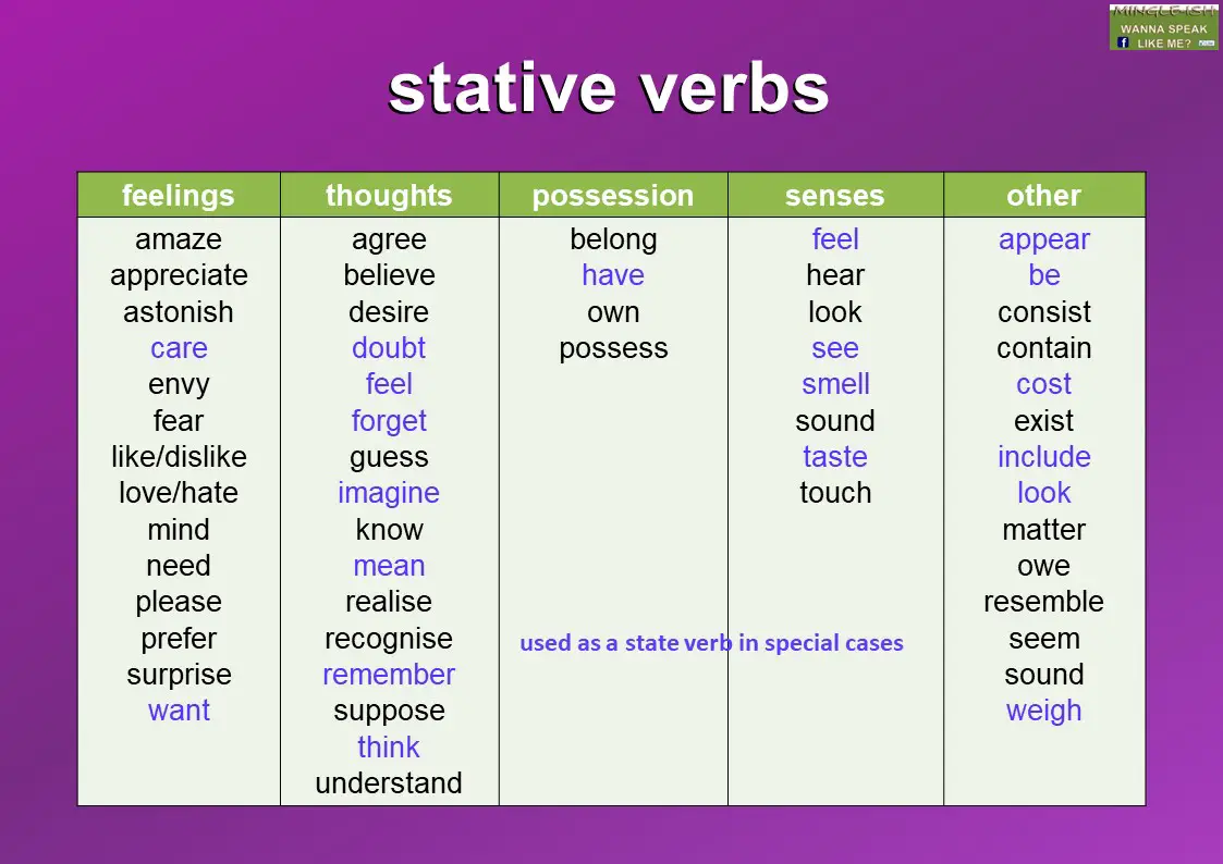 Verbs examples stative A big
