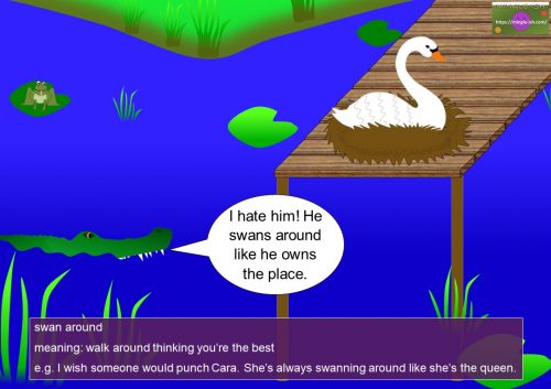 swan idioms and sayings - swan around