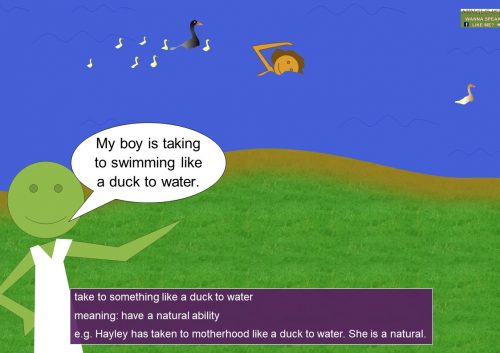 idioms with take - take to something like a duck to water