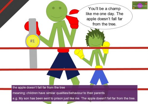 apple idioms - the apple doesn’t fall far from the tree
