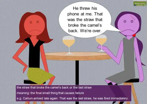 back idioms - the straw that broke the camel's back