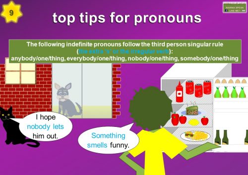 learn pronouns - The following indefinite pronouns follow the third person singular rule (the extra ‘s’ or the irregular verb): anybody/one/thing, everybody/one/thing, nobody/one/thing, somebody/one/thing