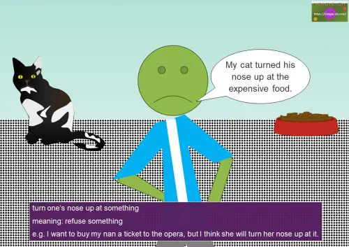nose idioms list - turn one’s nose up at something meaning