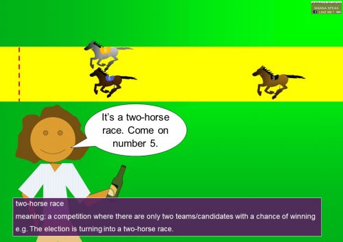 Business idioms and expressions - two-horse race