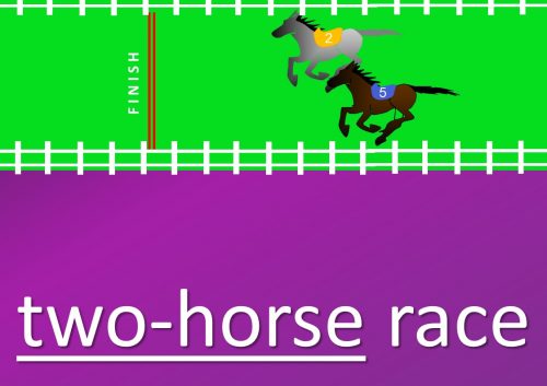compound adjectives with numbers - two-horse race