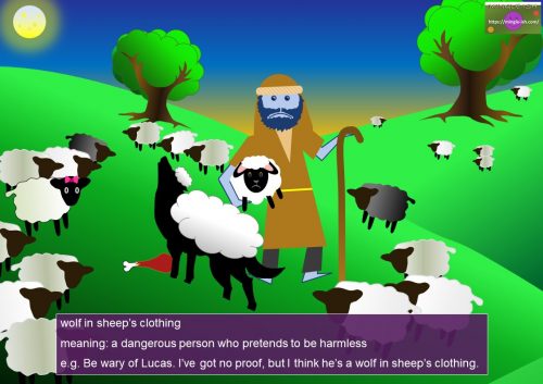 sheep idioms and expressions - wolf in sheep’s clothing