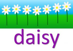 daisy sayings
