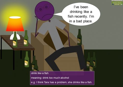 drink idioms - drink like a fish