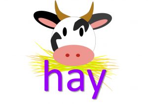 hay idioms and sayings