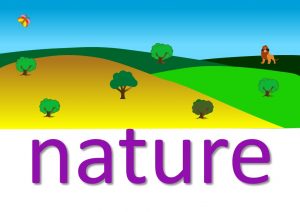 nature idioms