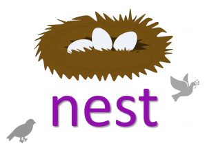 nest expressions