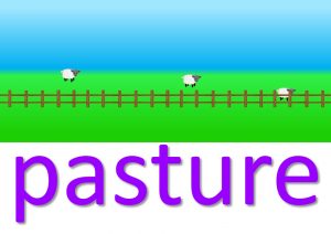 pasture idioms and sayings