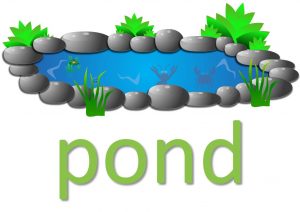 pond sayings - pond sayings