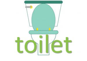 toilet idioms