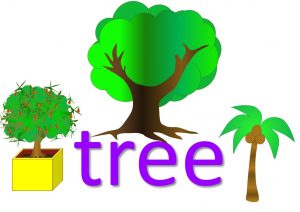 tree idioms, expressions and sayings