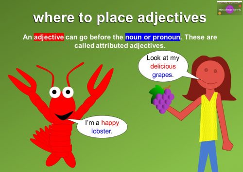 attributed adjectives definition and examples