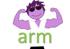 idiomatic expressions with body parts - arm phrases