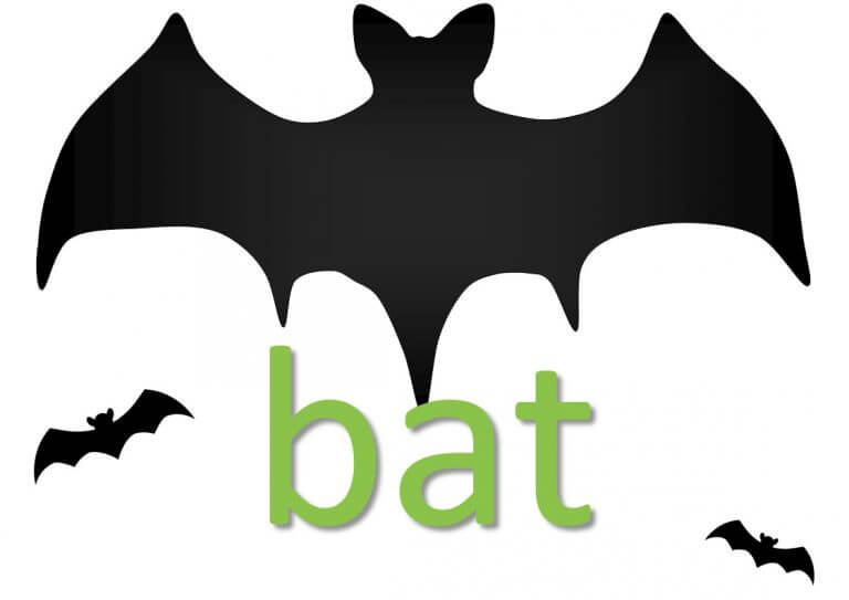 Bat idioms and sayings - Mingle-ish