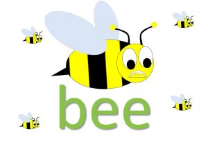 bee idioms and expressions list in English