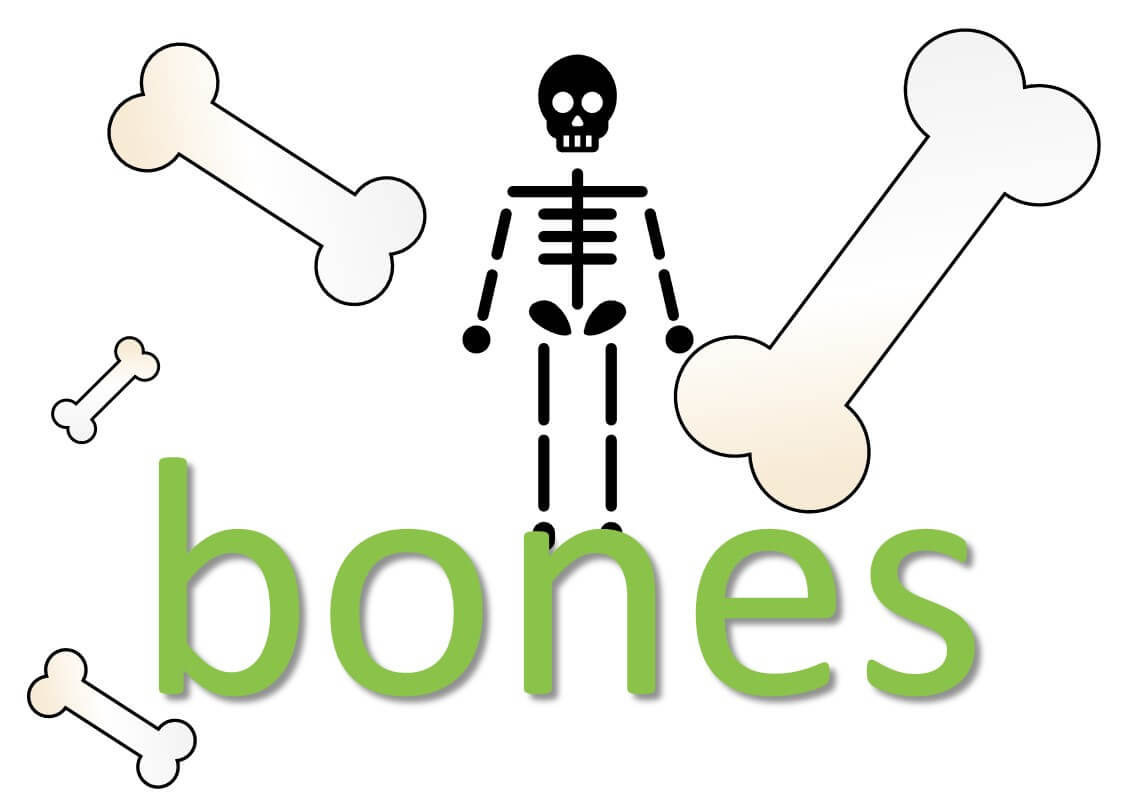 idiomatic expressions with body parts - bones