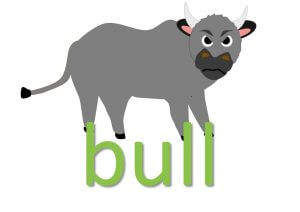 animal idioms - bull expressions and sayings
