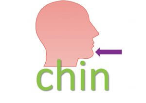 idiomatic expressions with body parts - chin