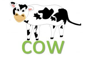 cow idioms