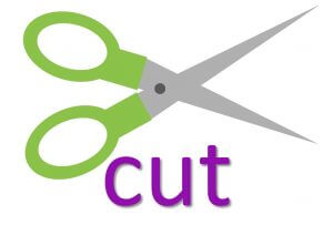 phrasal verbs with cut