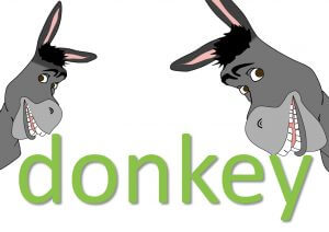 animal idioms - donkey expressions and sayings