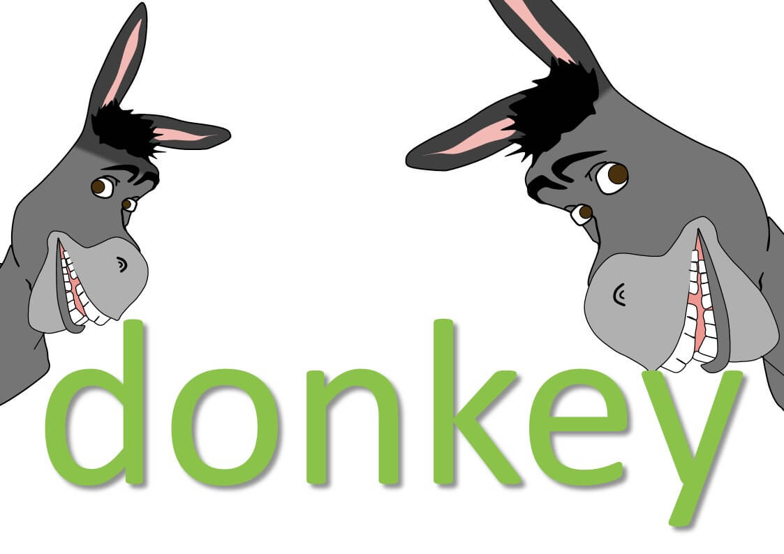 animal idioms - donkey expressions and sayings