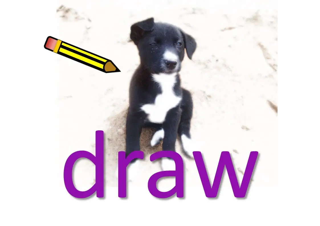 phrasal verbs with draw