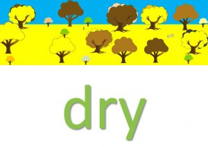dry idioms