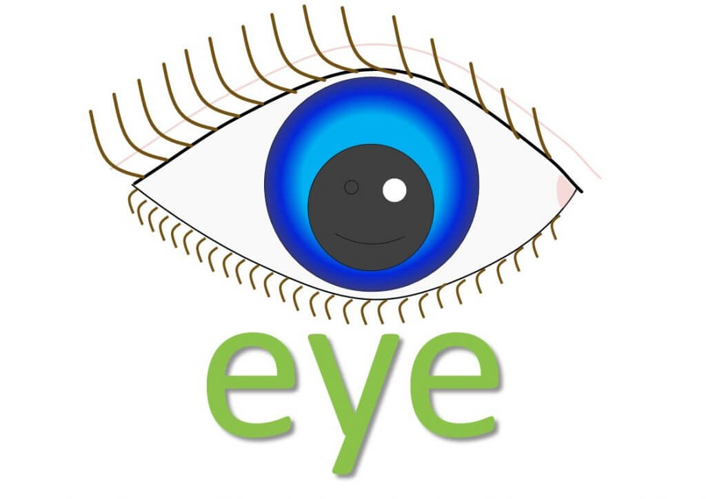 EYE idioms (body idioms) Mingleish