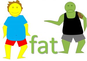 idioms and phrases with adjectives - fat