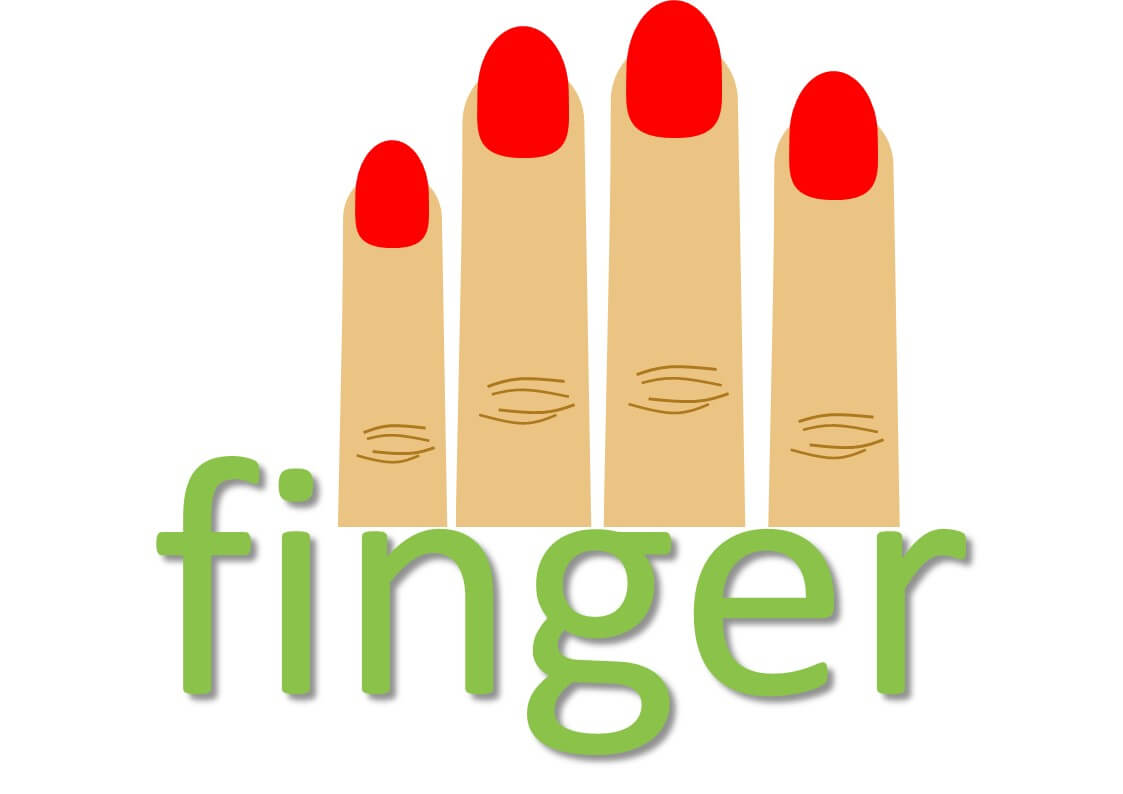 idiomatic expressions with body parts - finger