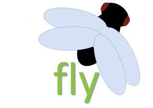 fly idioms and expressions