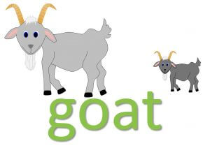 animal idioms - goat phrases and sayings