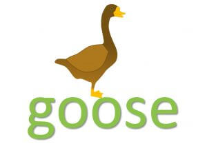 goose idioms and sayings