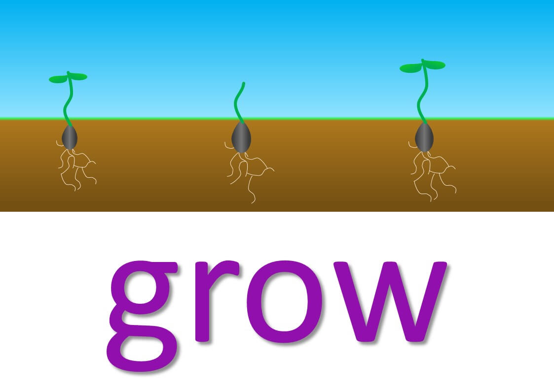 verb phrases - grow