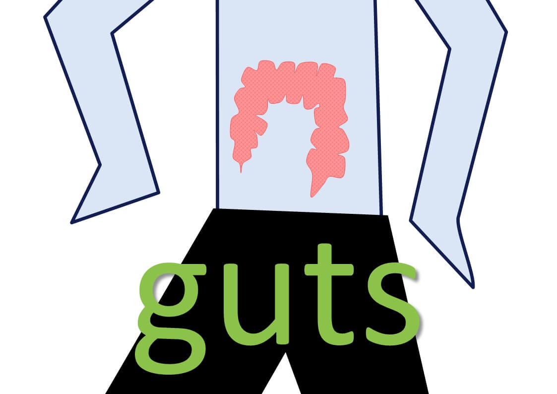 idiomatic expressions with body parts - guts