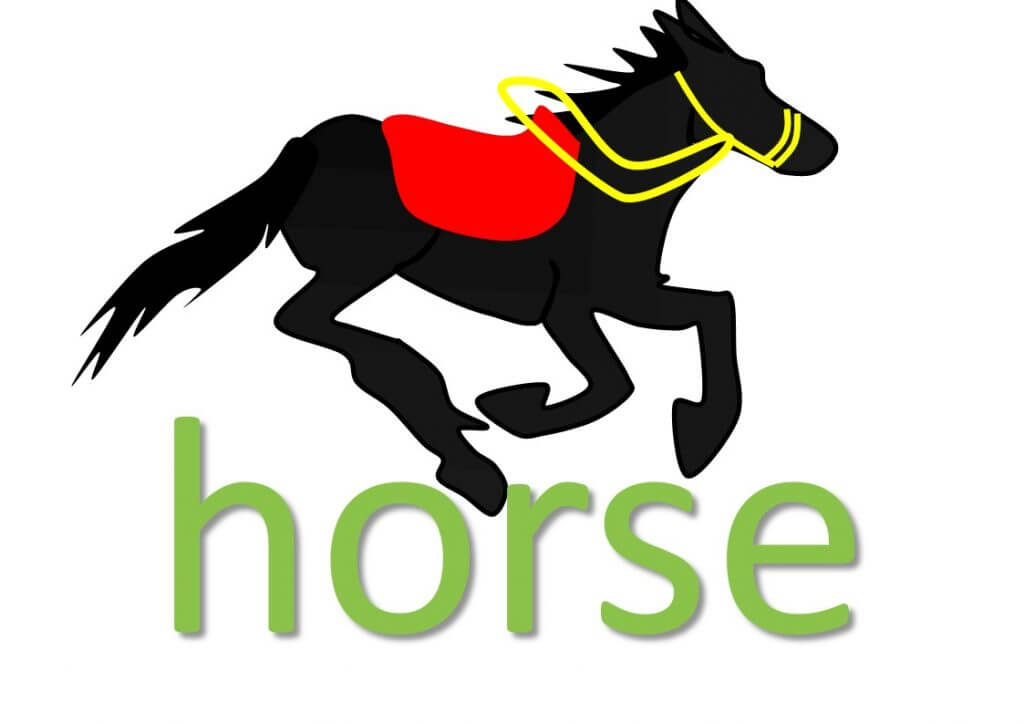 Horse idioms and sayings Mingleish