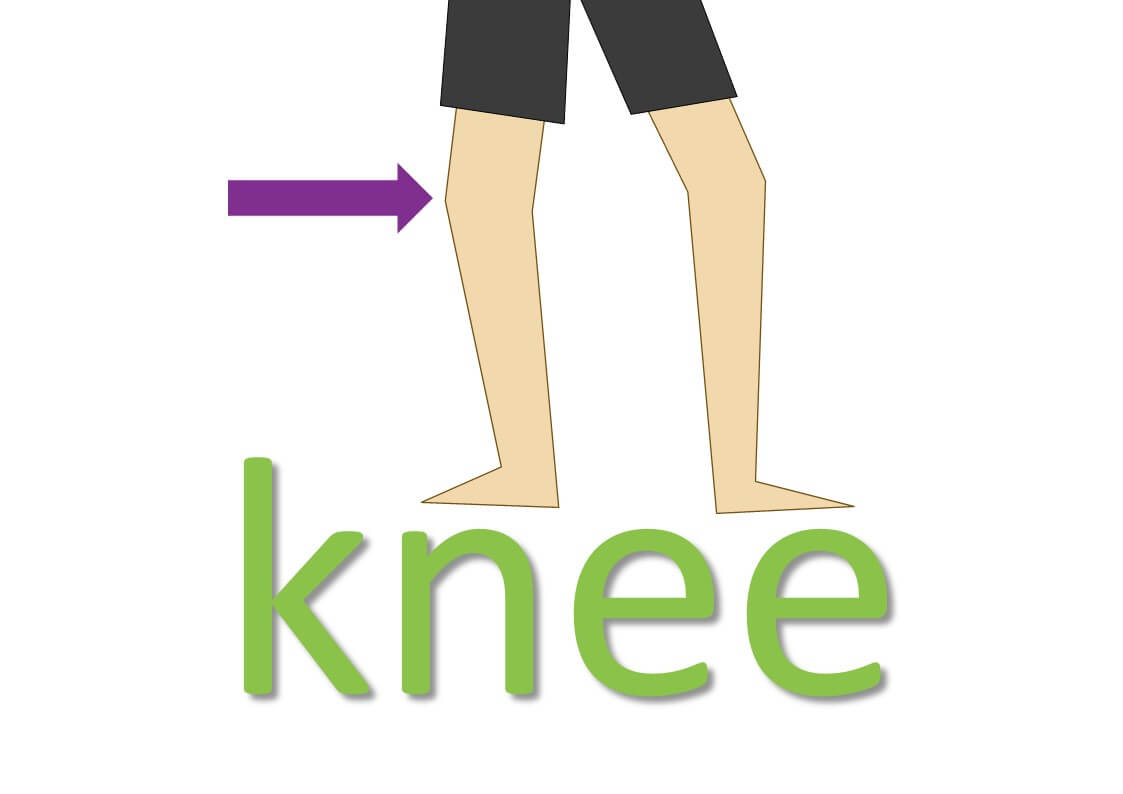 idiomatic expressions with body parts - knee