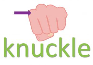 idiomatic expressions with body parts - knuckle